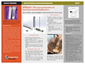 SilKare Project Poster