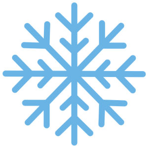 SnowData Logo