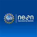NEON Logo