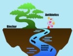 Biochar and Antibiotic-Resistant Bacteria in Water
