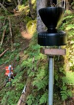 SitkaNet system set up in the forest outside Sitka, AK. Black funnel is placed on metal pole and orange pelican case containing node is placed in the background.